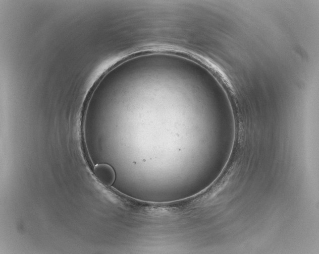 X0000116341231200912011342