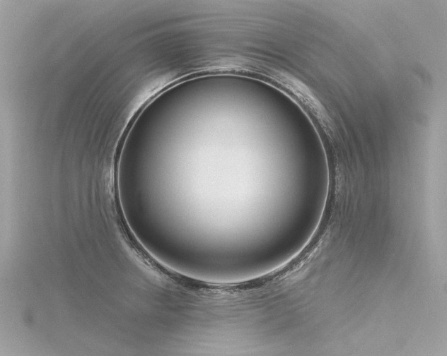 X0000116341234200912011342