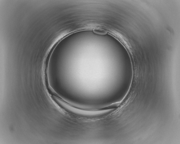 X0000116341235200912011342