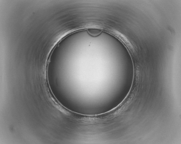 X0000116341236200912011342