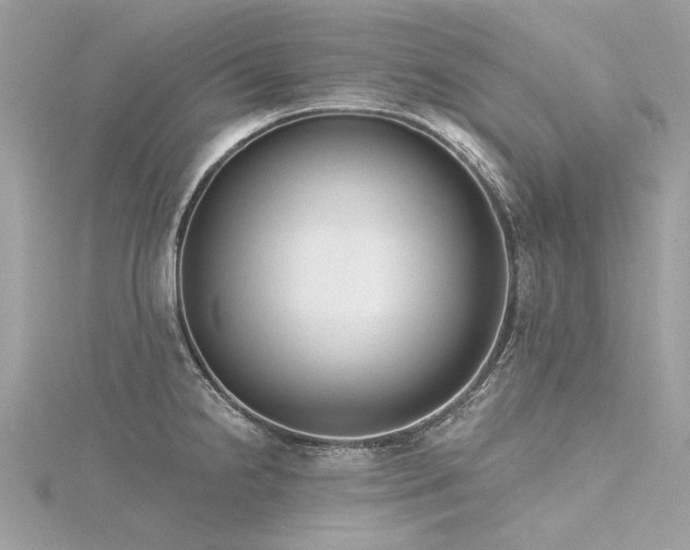 X0000116341238200912011342