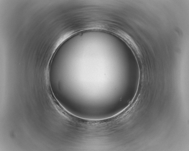 X0000116341242200912011342