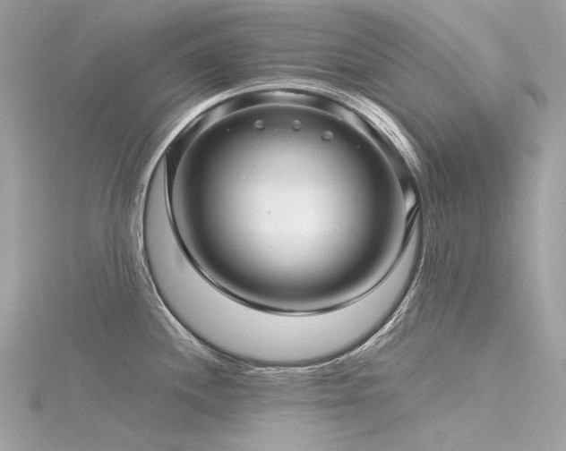 X0000116341244200912011342