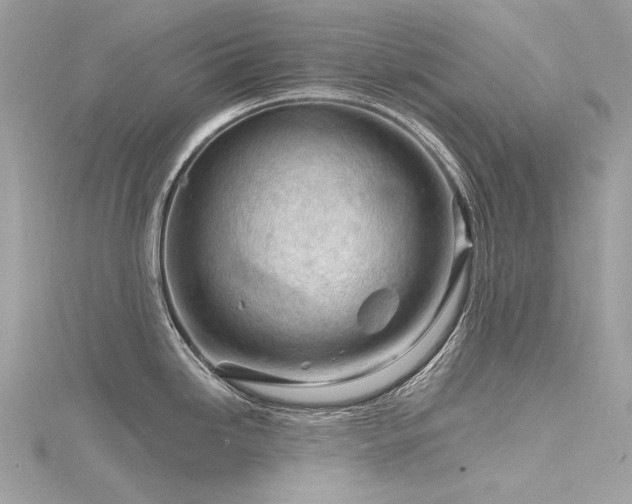 X0000116341246200912011342