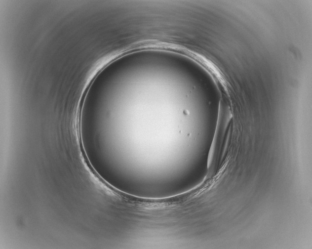 X0000116341247200912011342