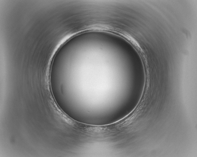 X0000116341248200912011343