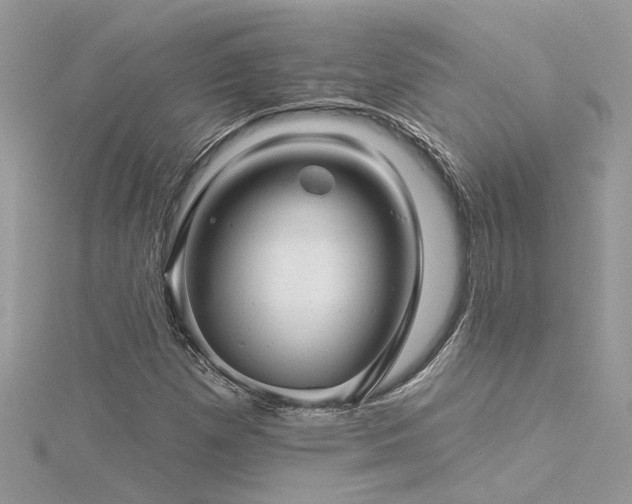 X0000116341257200912011342