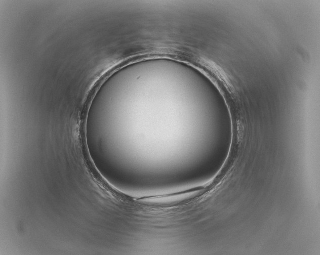 X0000116341260200912011342
