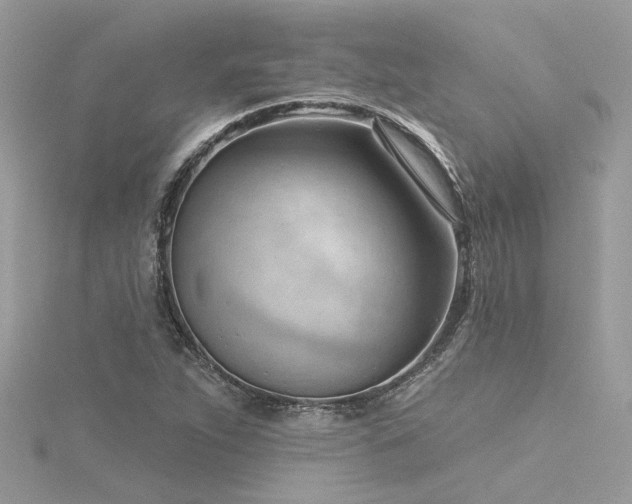 X0000116341263200912011342