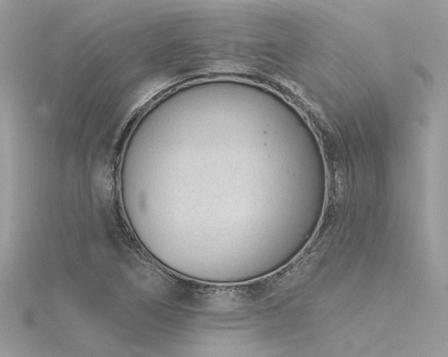 X0000116341266200912011342