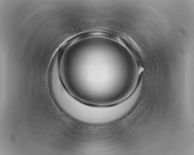 X0000116341268200912011342