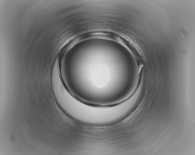 X0000116341273200912011342