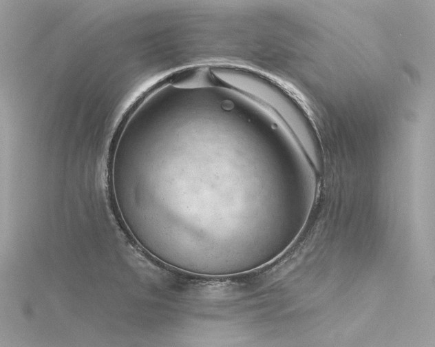 X0000116341279200912011342