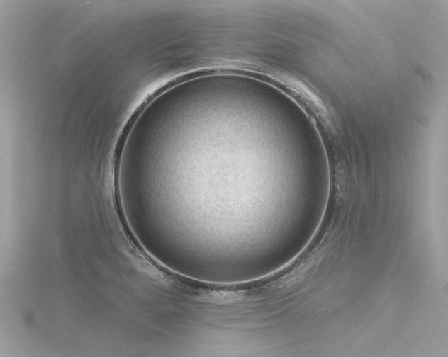 X0000116341280200912011341