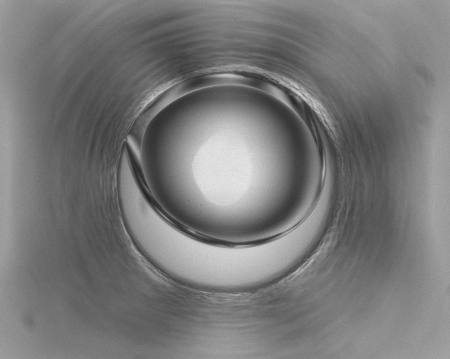 X0000116341281200912011341