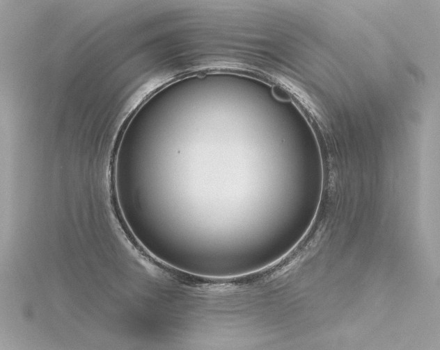 X0000116341282200912011341
