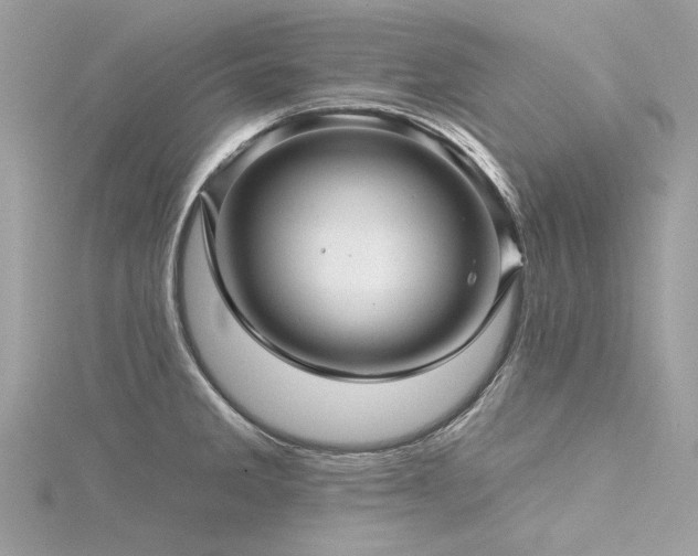 X0000116341285200912011341