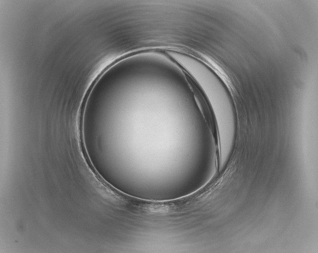 X0000116341291200912011341