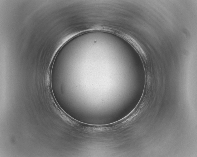 X0000116341292200912011341
