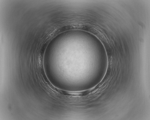 X0000116341298200912011341