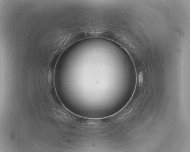 X0000116341299200912011341