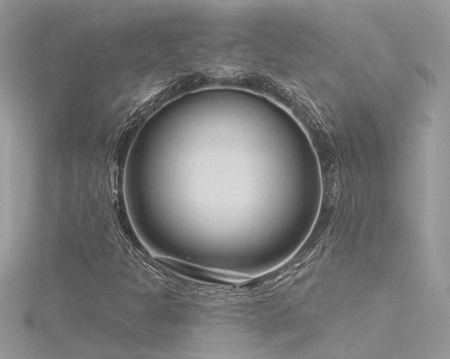 X0000116341301200912011341