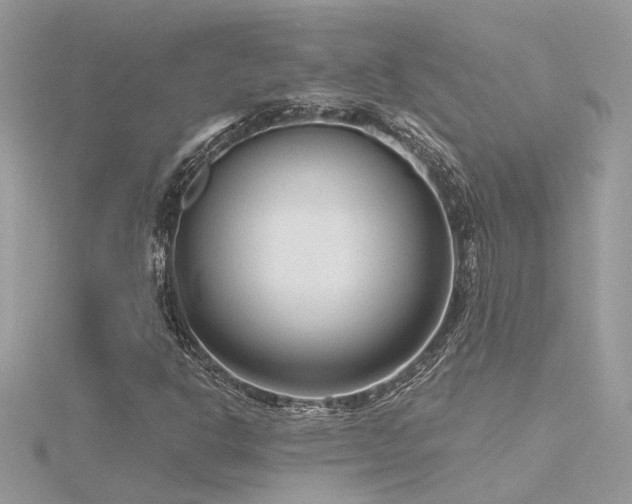 X0000116341302200912011341