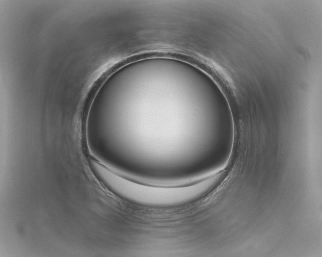 X0000116341318200912011341