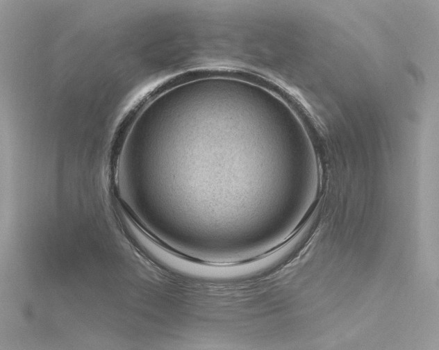 X0000116341319200912011341