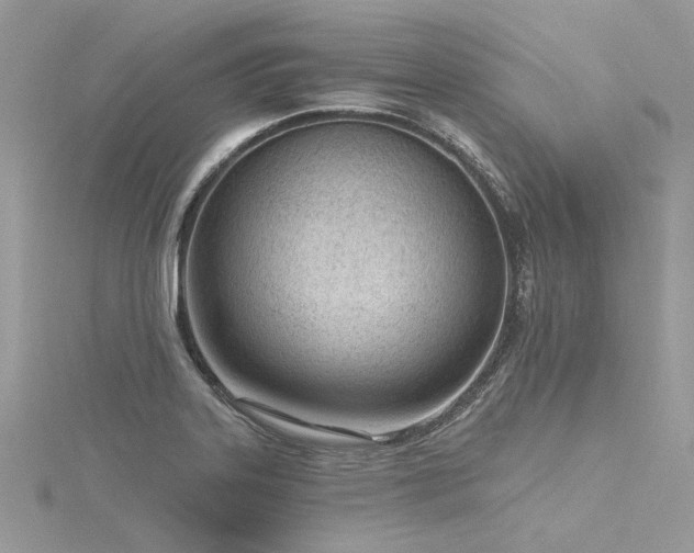 X0000116341323200912011341