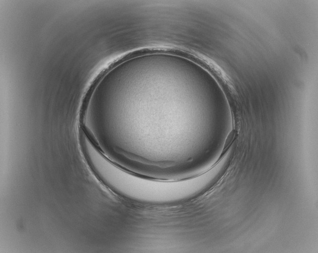 X0000116341327200912011341