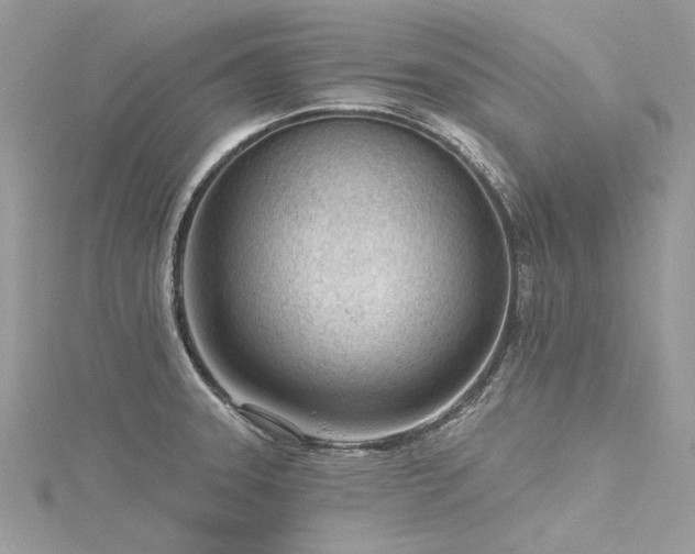 X0000116341331200912011341