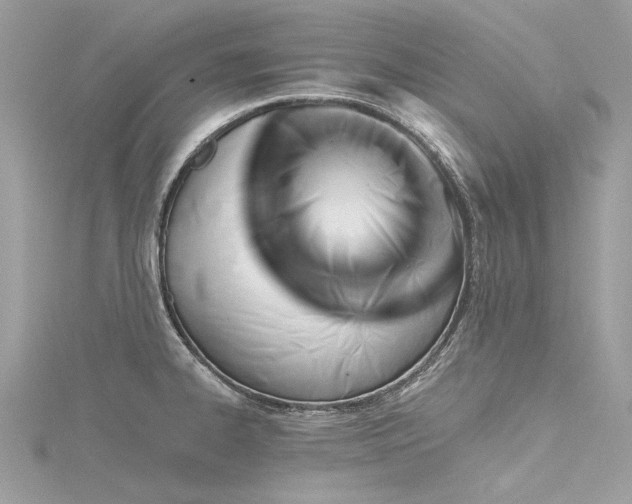 X0000116341334200912011341