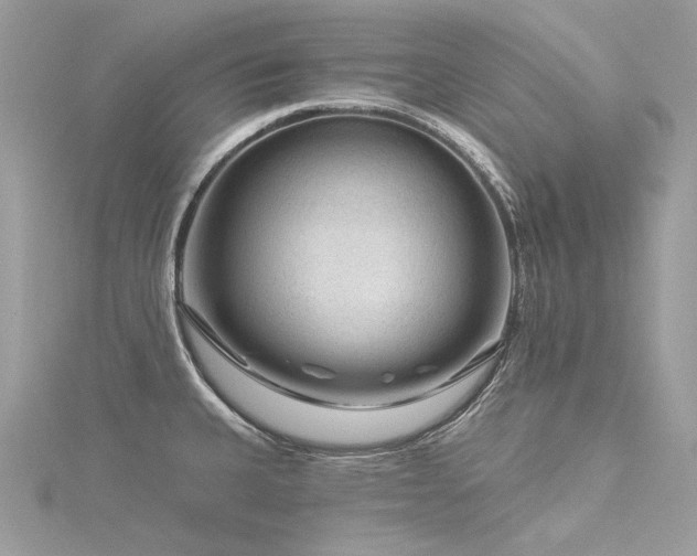 X0000116341335200912011341