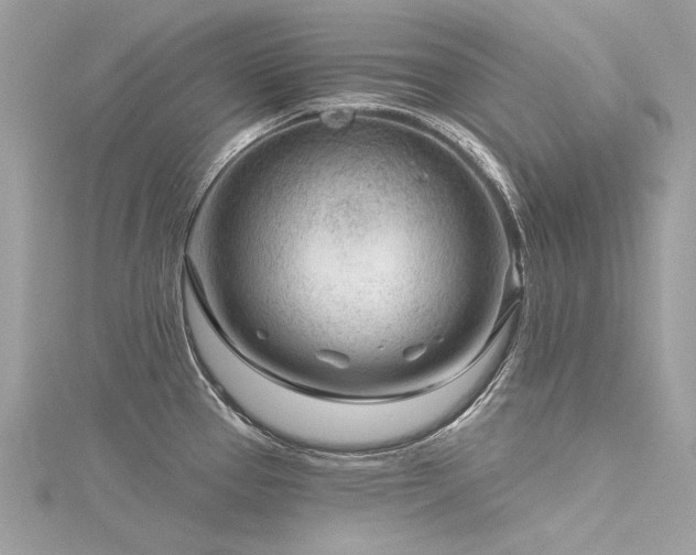 X0000116341337200912011341