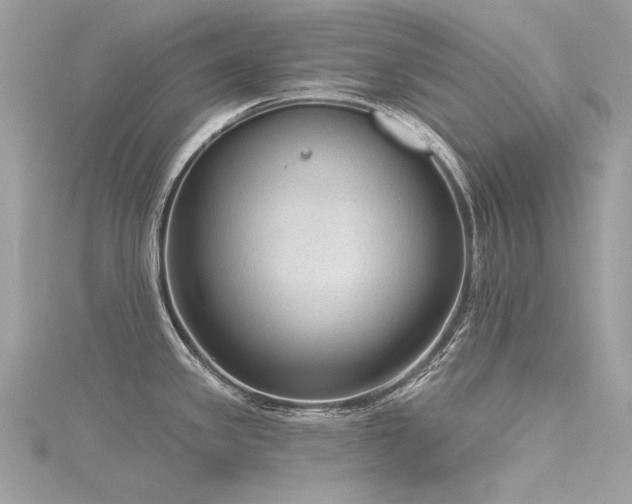 X0000116341341200912011341