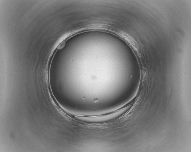 X0000116341342200912011341