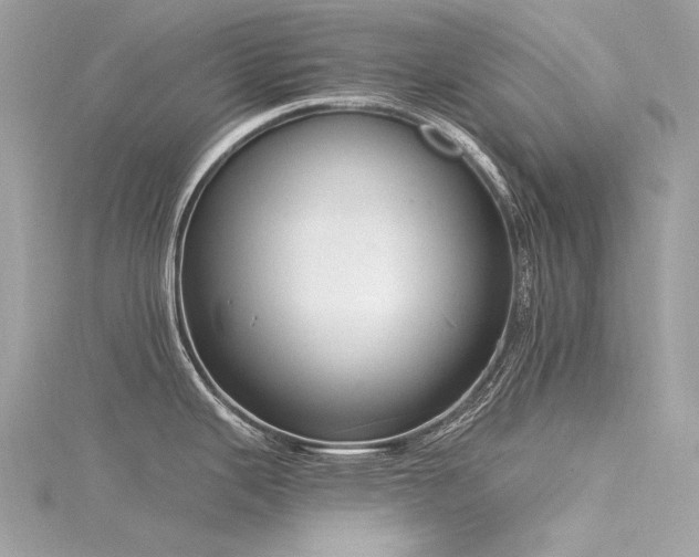 X0000116341343200912011341