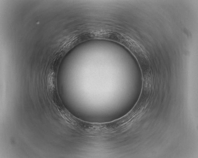 X0000116341346200912011340