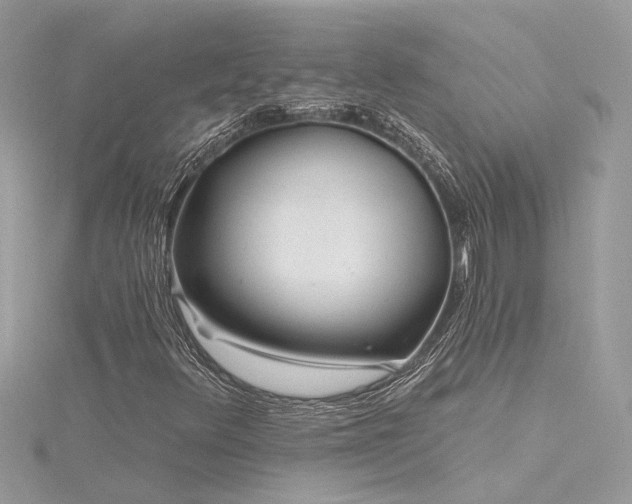 X0000116341348200912011340