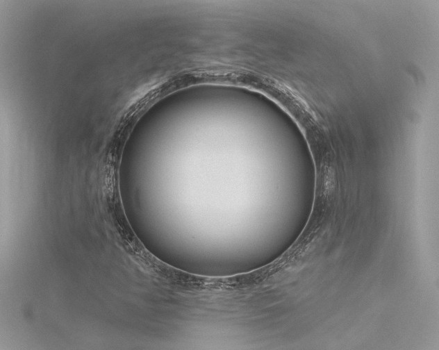 X0000116341350200912011340