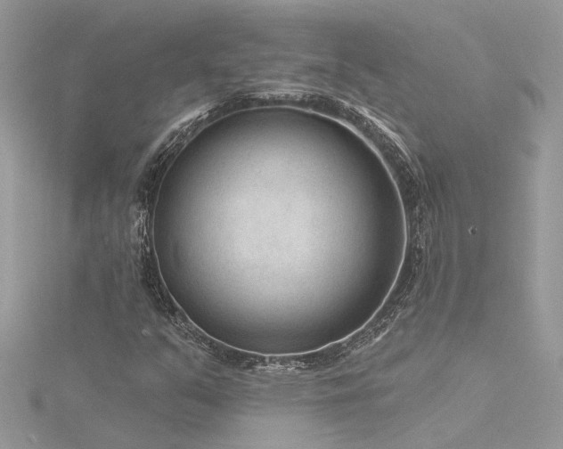X0000116341351200912011340