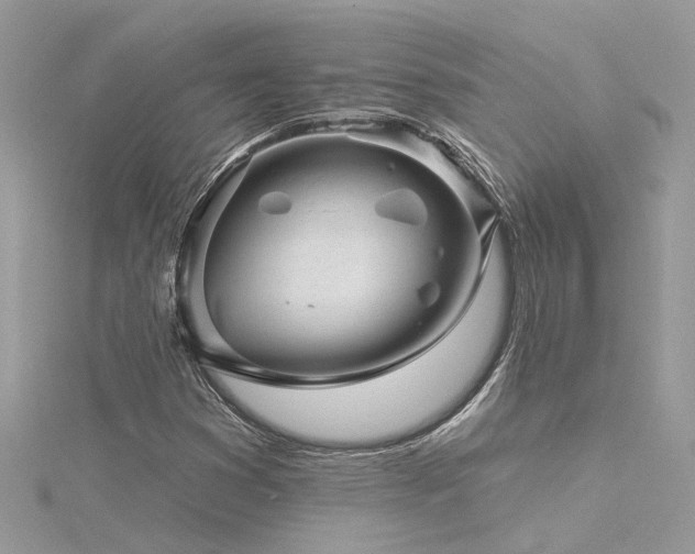X0000116341353200912011340