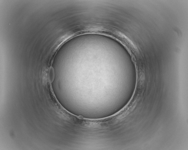 X0000116341361200912011340