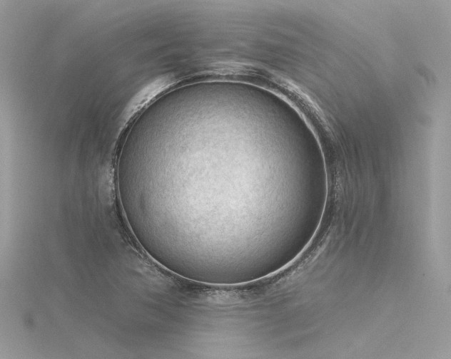 X0000116341362200912011340