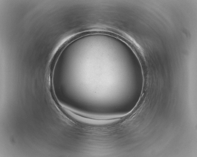 X0000116341368200912011340