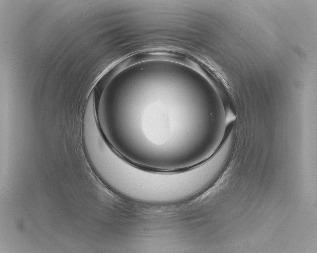 X0000116341369200912011340