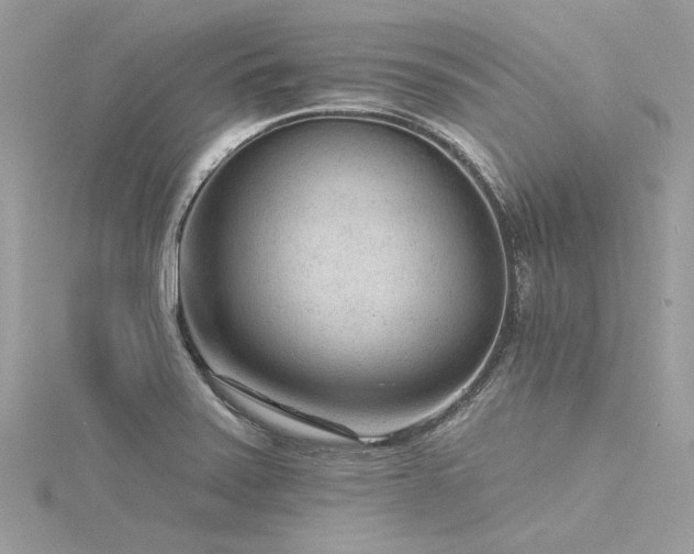 X0000116341371200912011340