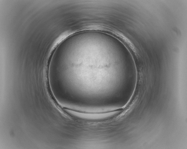 X0000116341373200912011340