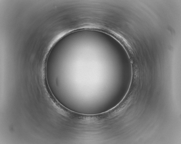 X0000116341375200912011340